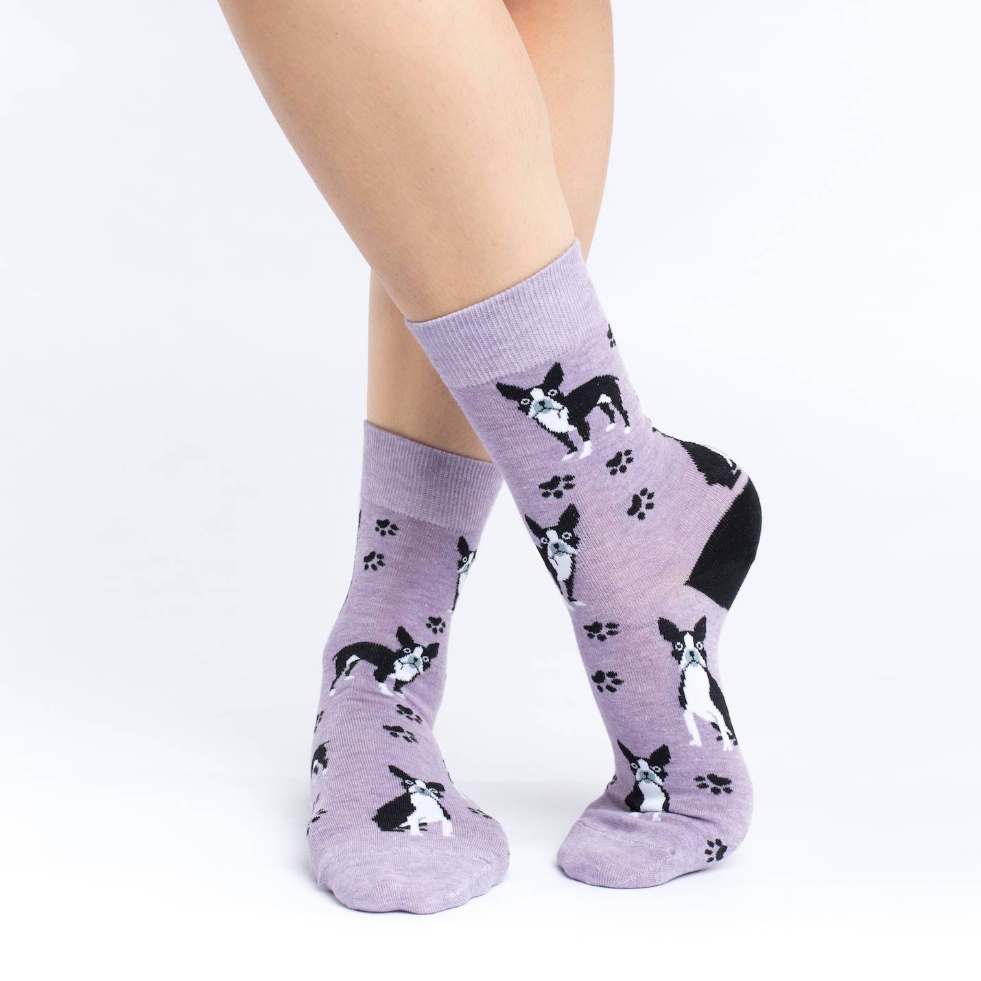 Sjove Dame Strømper - 'Boston Terrier' Dyr Good Luck Sock